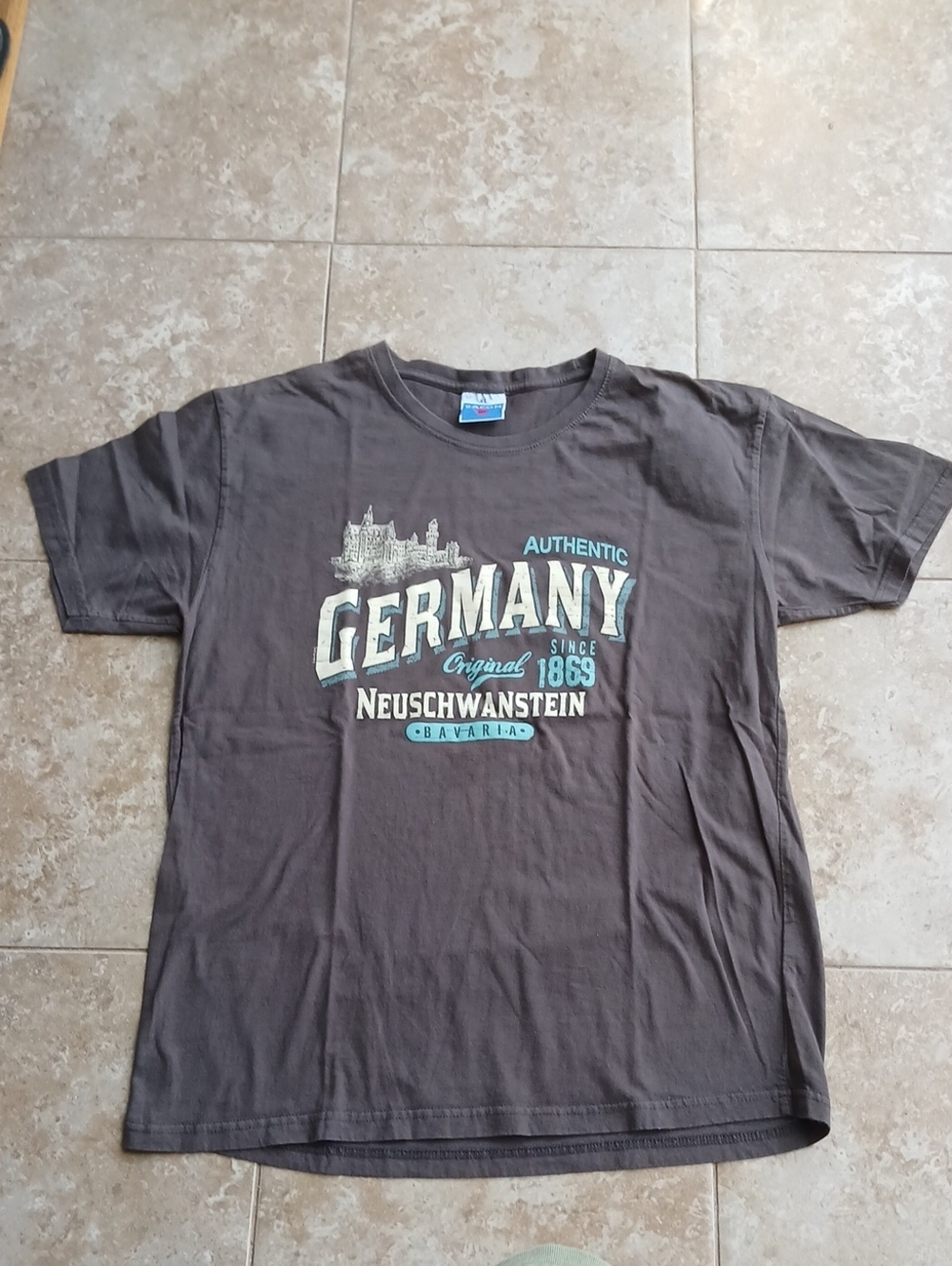 Germany Neuschwanstein Graphic Tee - Brown